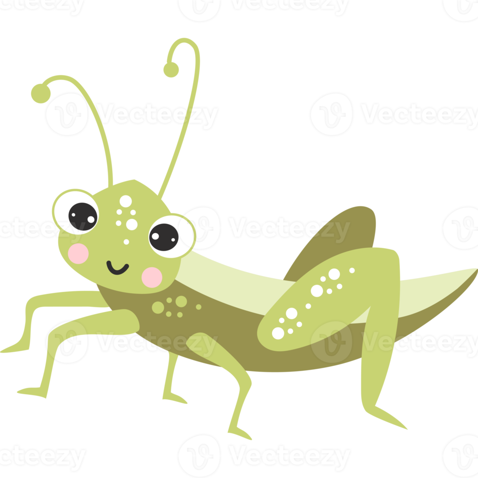 Cute grasshopper character png