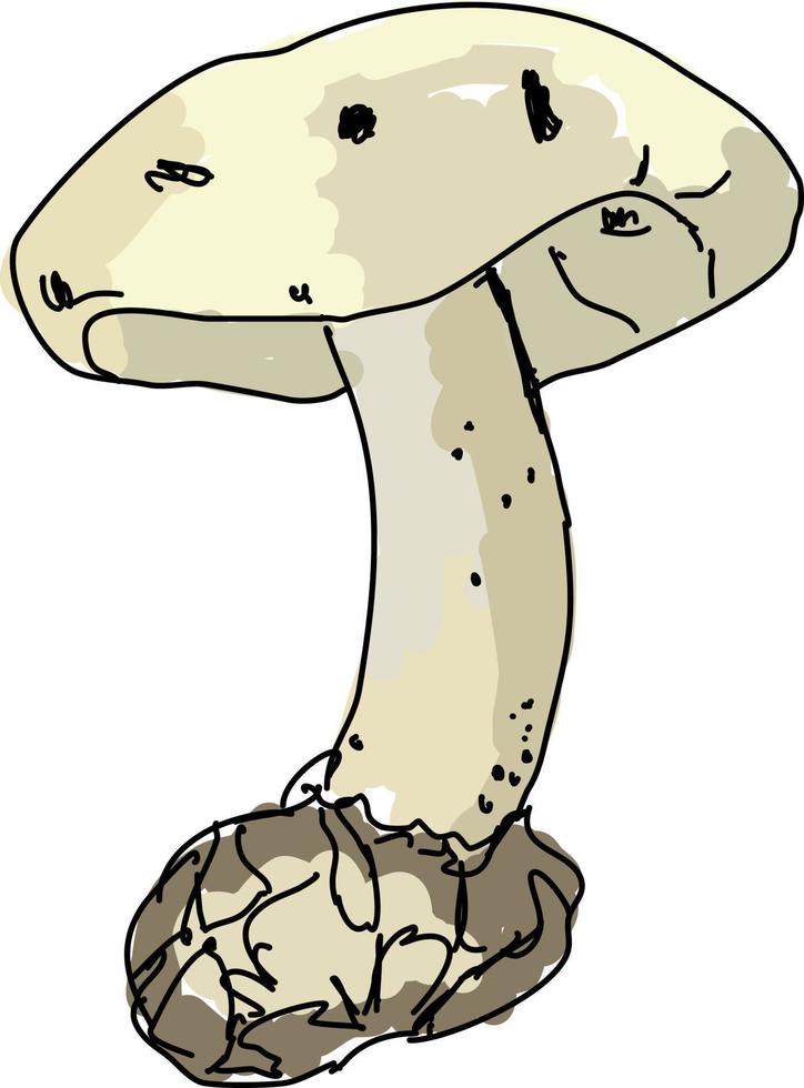 Mushroom drawing, illustration, vector on white background.