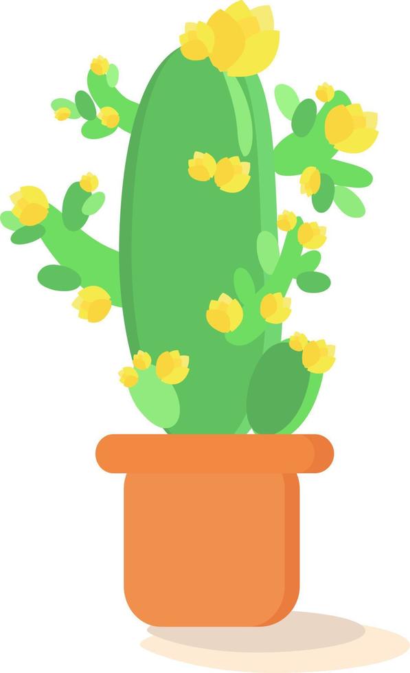 Cactus flower, illustration, vector on white background.