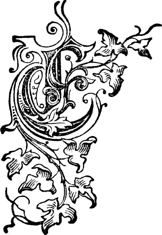 Decorative Floral E, vintage illustration vector