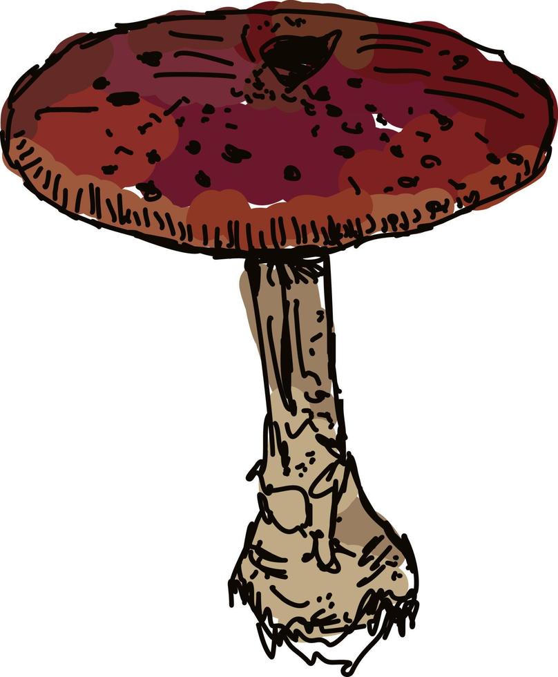 Mushroom in woods, illustration, vector on white background.