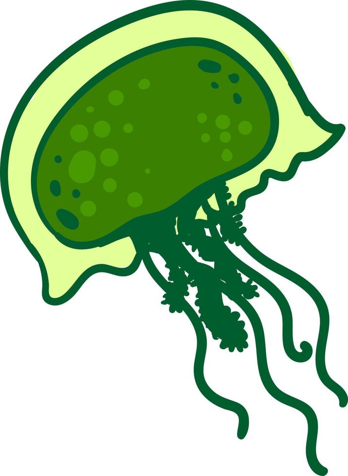 Green jellyfish , illustration, vector on white background