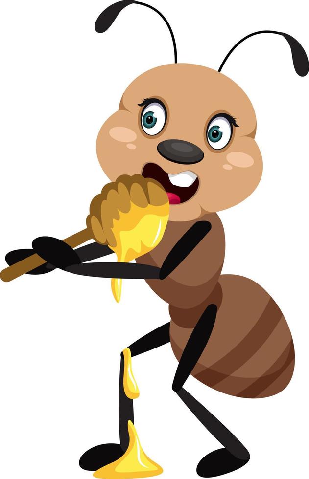 Ant eating honey, illustrator, vector on white background.