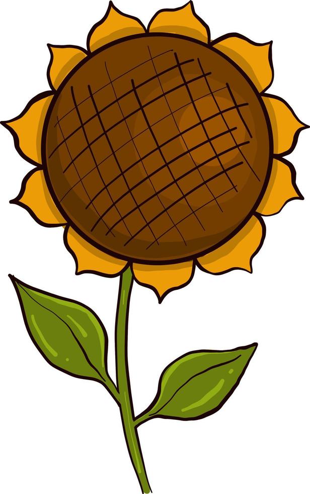 Small yellow sunflower, illustration, vector on a white background.