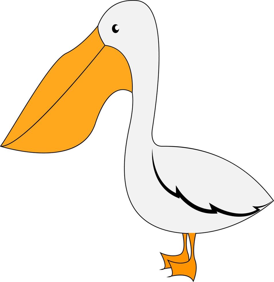 Cute pelican, illustration, vector on white background.