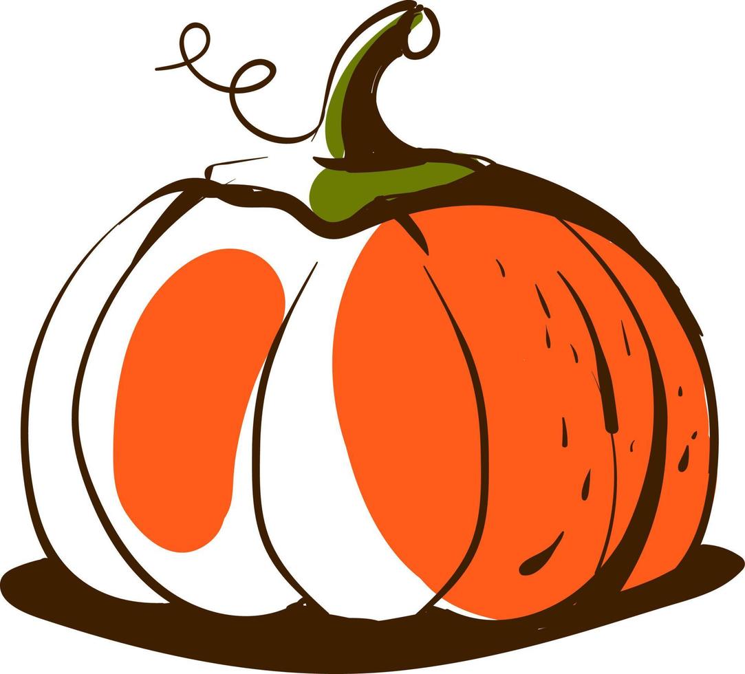 boceto de calabaza, ilustración, vector sobre fondo blanco.