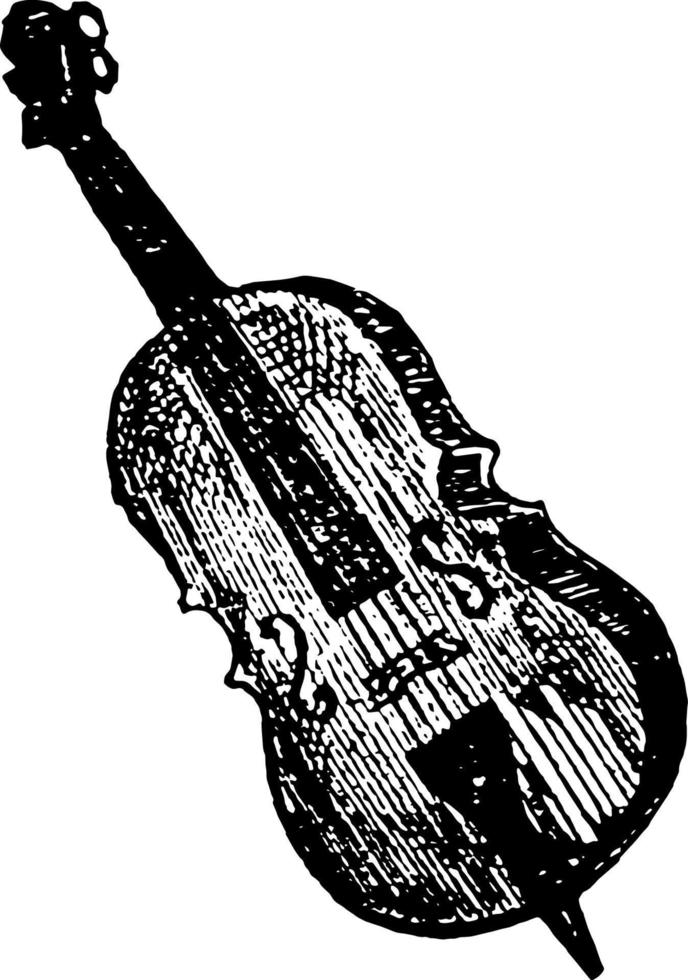 Bass violin, vintage illustration. vector
