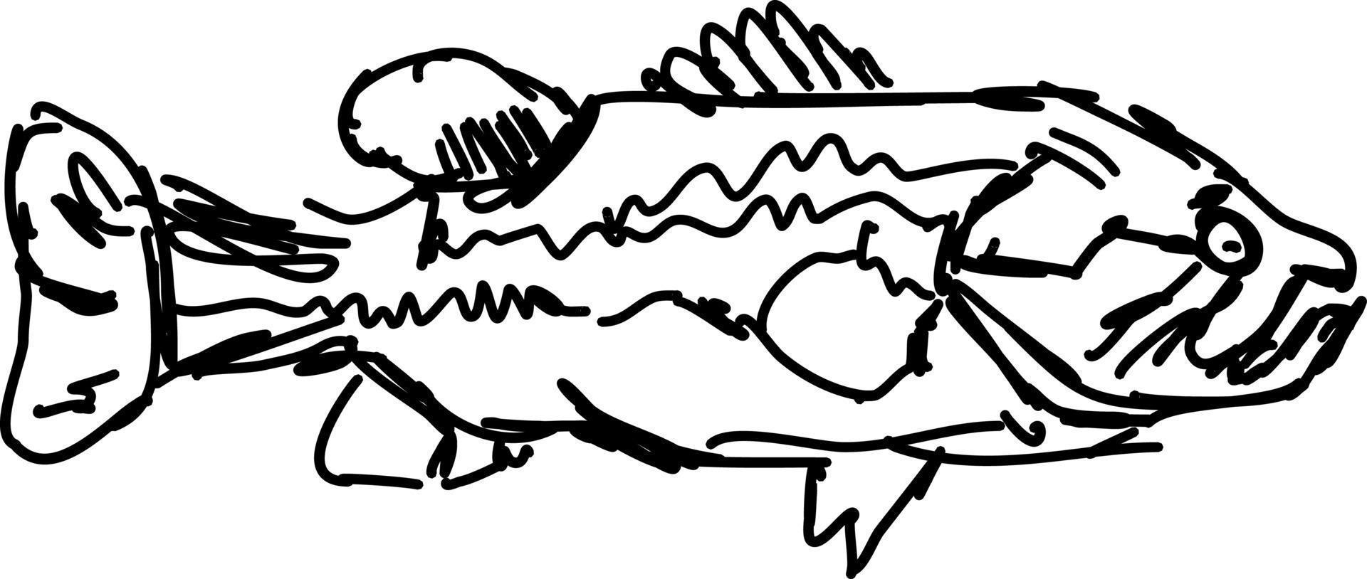 Fish drawing, illustration, vector on white background.