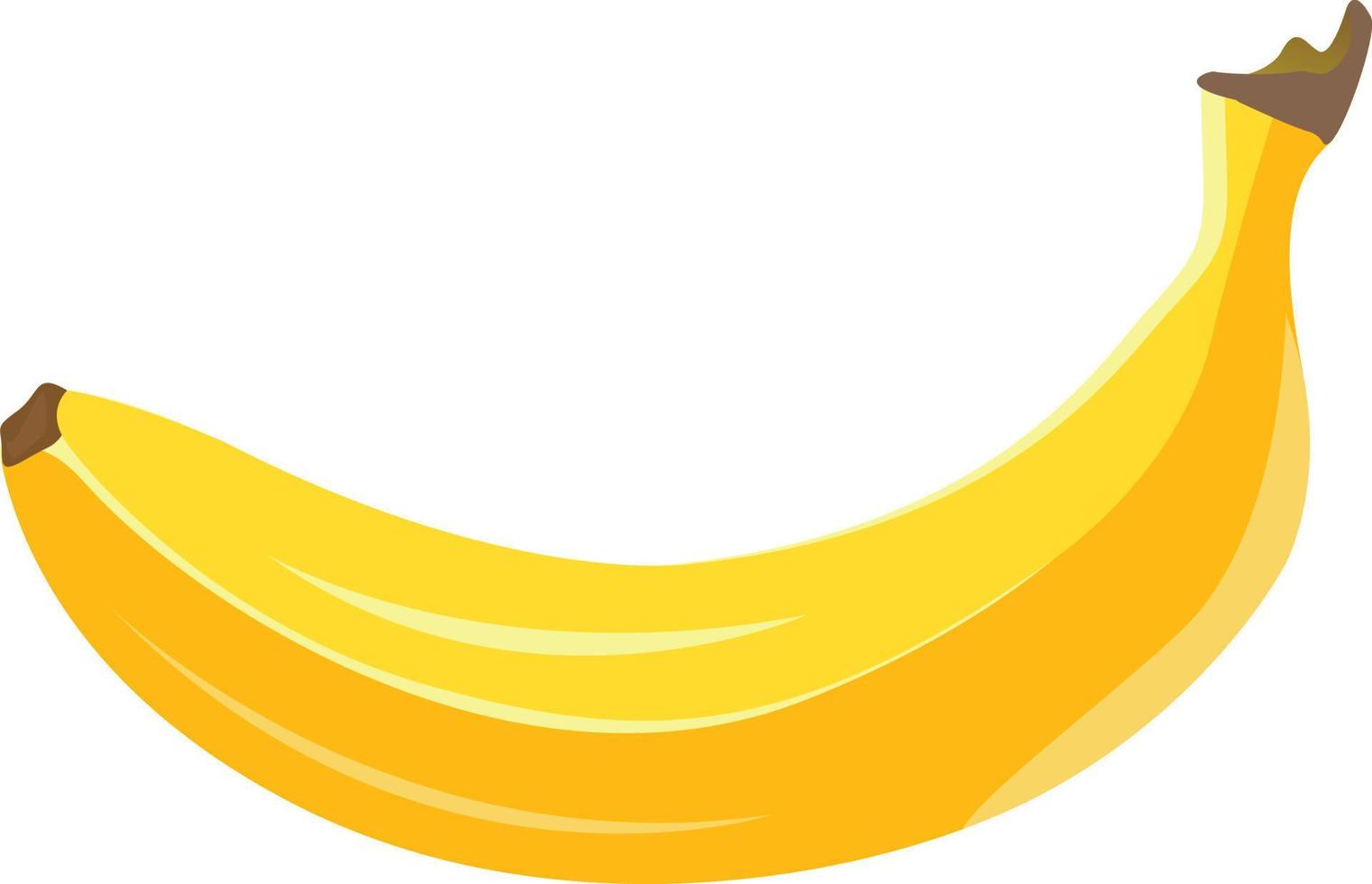 plátano amarillo, ilustración, vector sobre fondo blanco