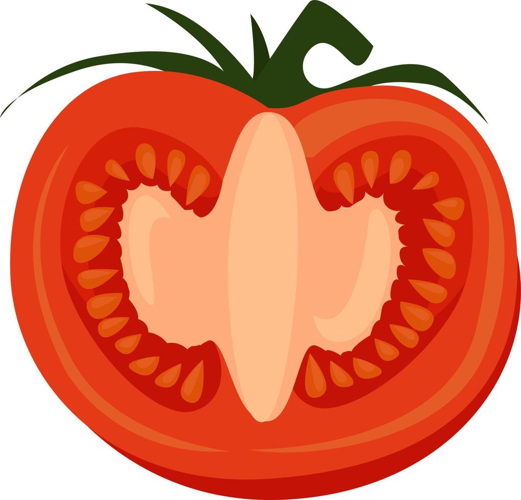 Chopped tomato, illustration, vector on white background