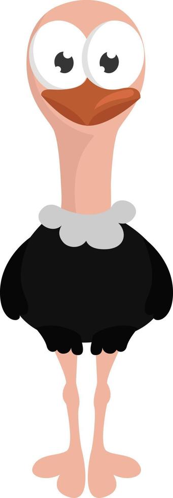 avestruz bebé,ilustración,vector sobre fondo blanco vector
