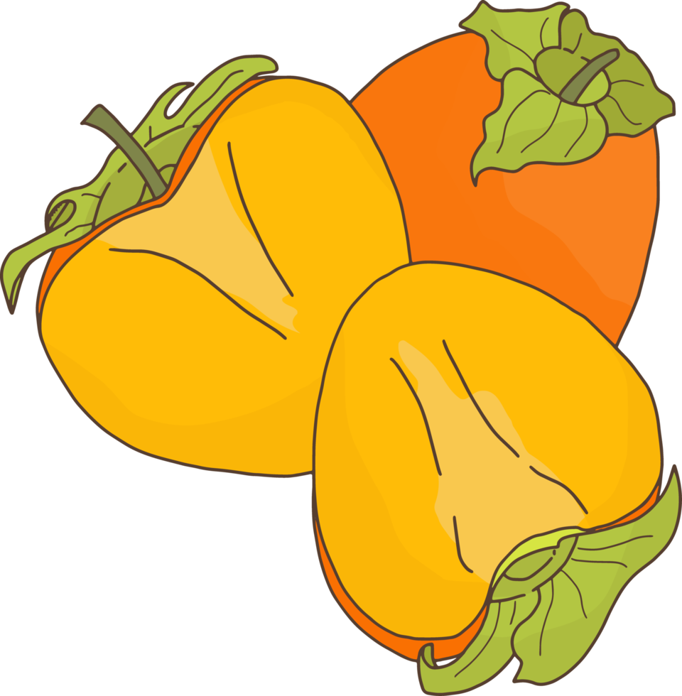 Orange persimmon. Autumn fruit png