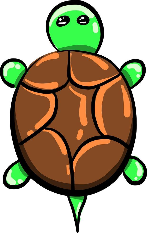 Small tortoise, illustration, vector on white background