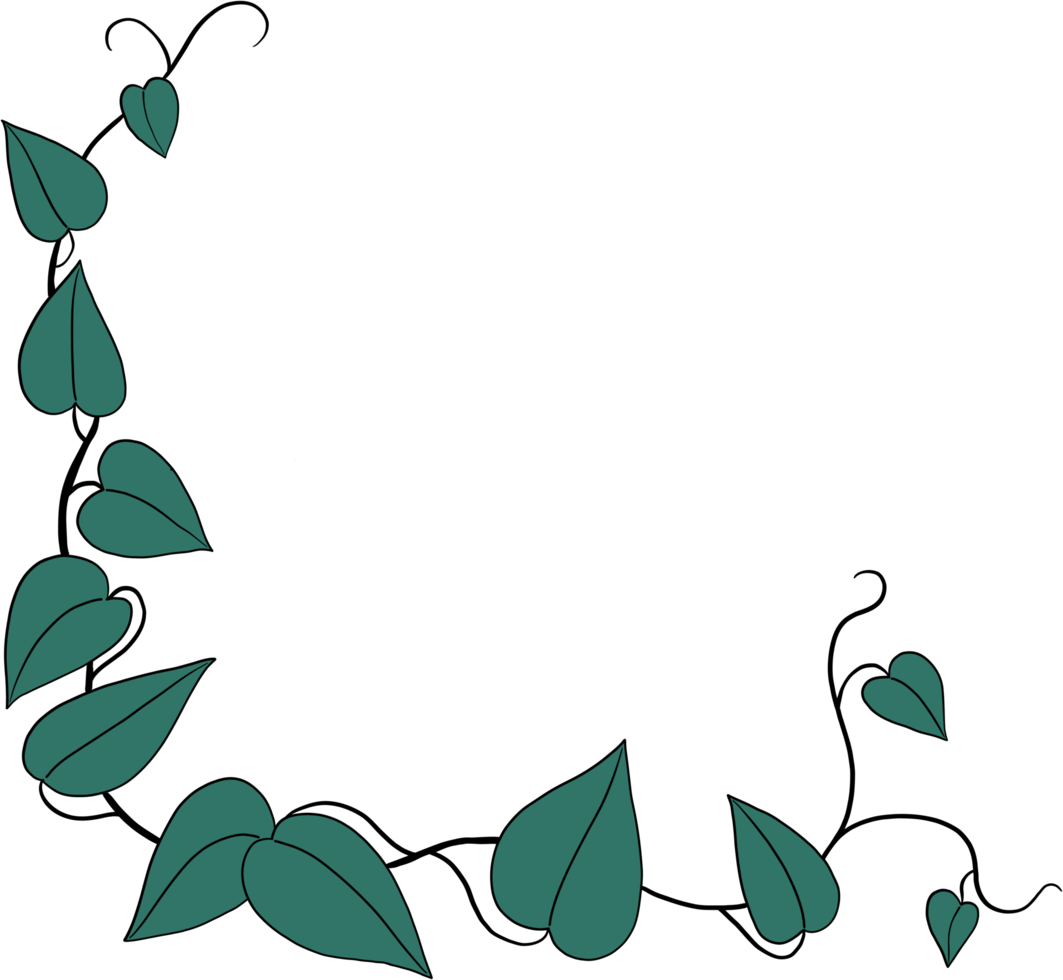 Simplicity ivy freehand drawing png