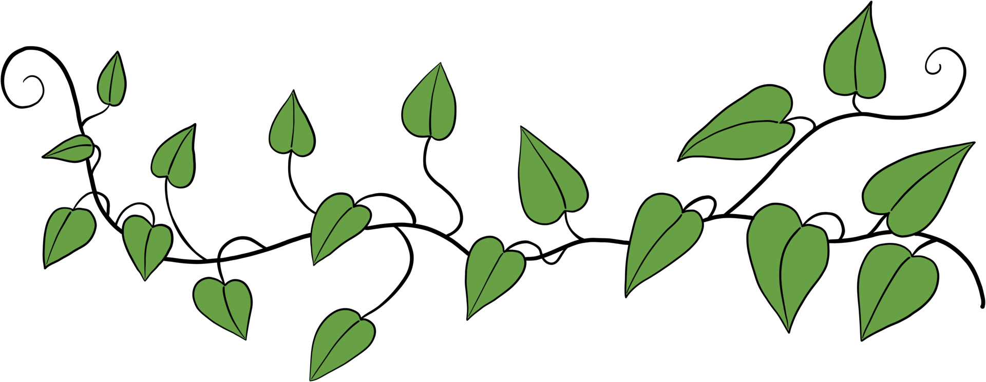 Simplicity ivy freehand drawing png