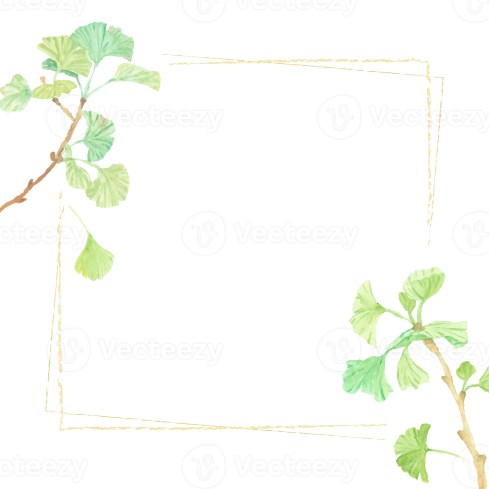 aquarell handgezeichneter ginkgozweigrahmen quadratischer fahnenhintergrund png