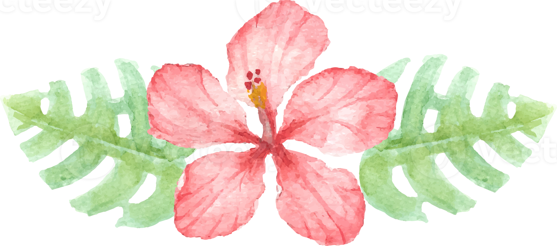 watercolor hand draw summer red hibiscus flower bouquet elements png