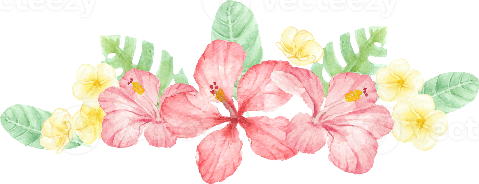 watercolor hand draw summer red hibiscus flower bouquet elements png