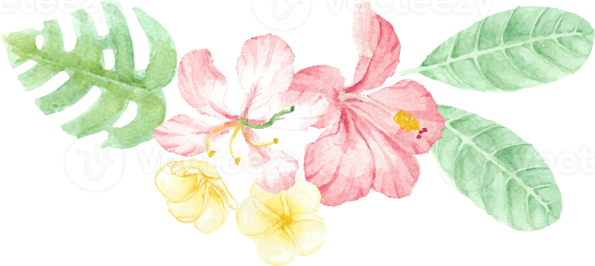 aquarellhand zeichnen sommerrote hibiskusblumenblumenstraußelemente png