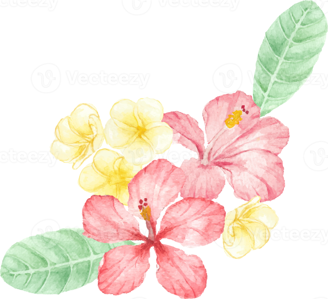 watercolor hand draw summer red hibiscus flower bouquet elements png
