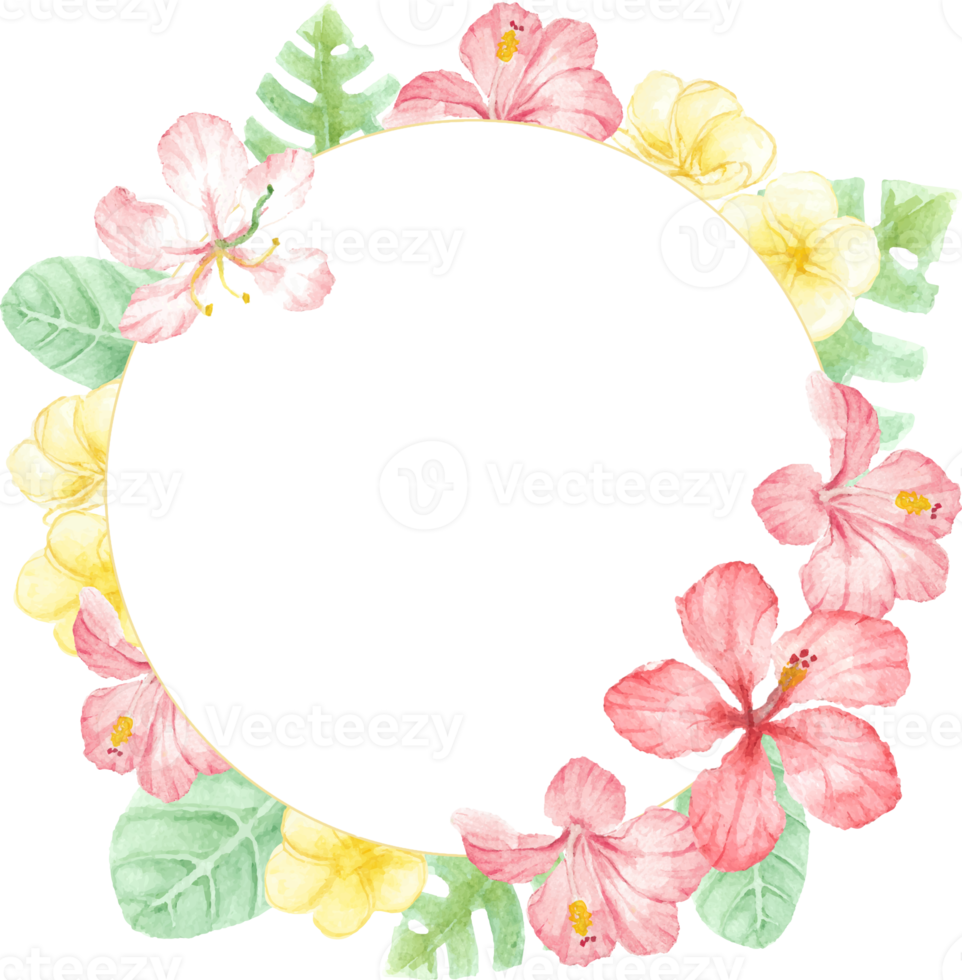 watercolor red summer tropical flower hibiscus and plumeria wreath frame png
