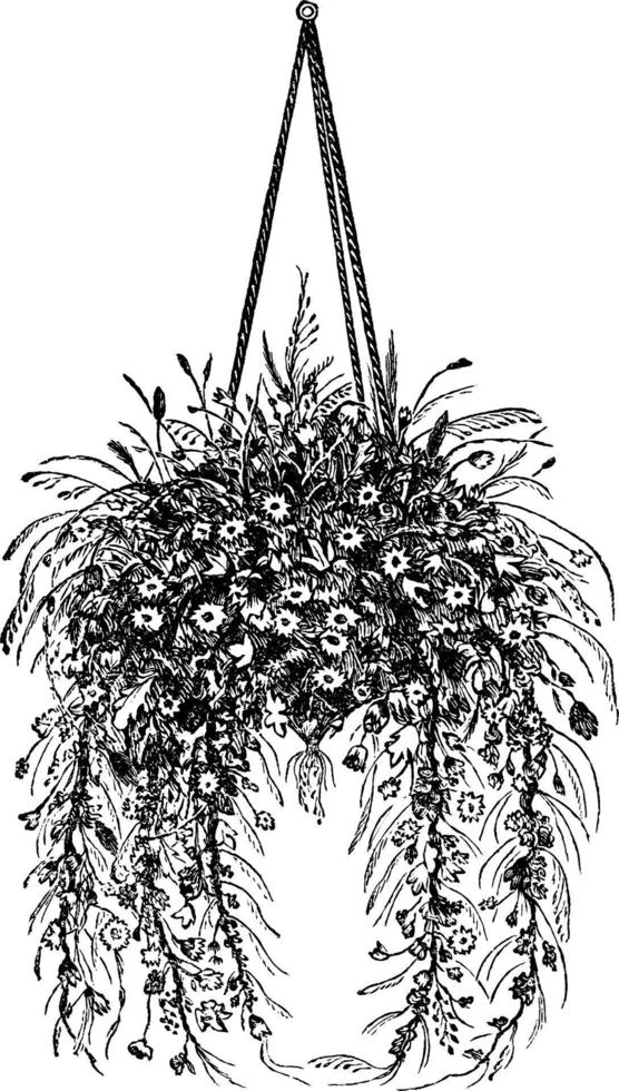 Hanging Basket with Dried Flowers, vintage illustration. vector