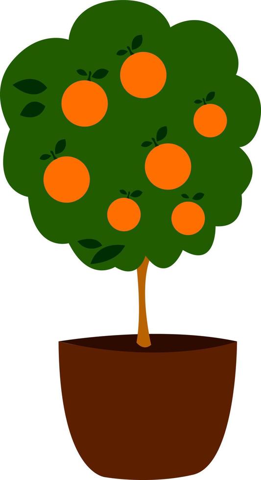 Orange tree in pot, illustration, vector on white background