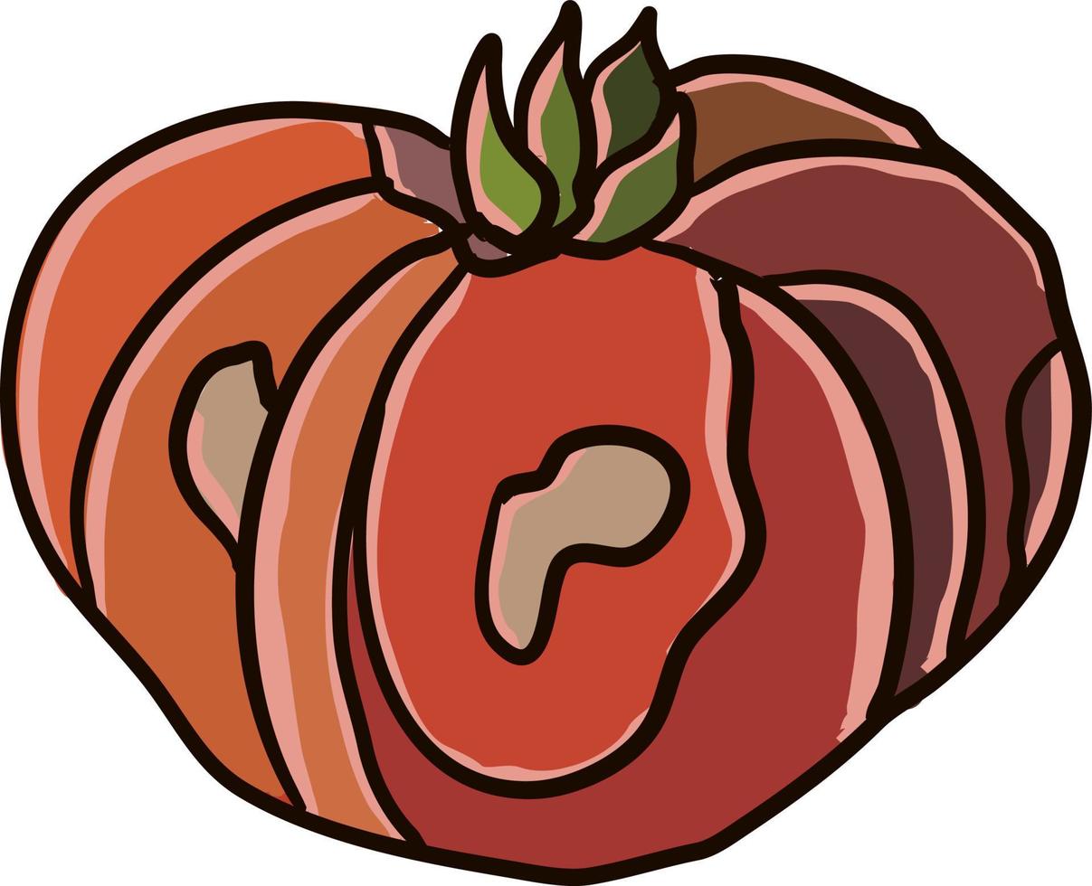 Tomate gordo, ilustración, vector sobre fondo blanco.