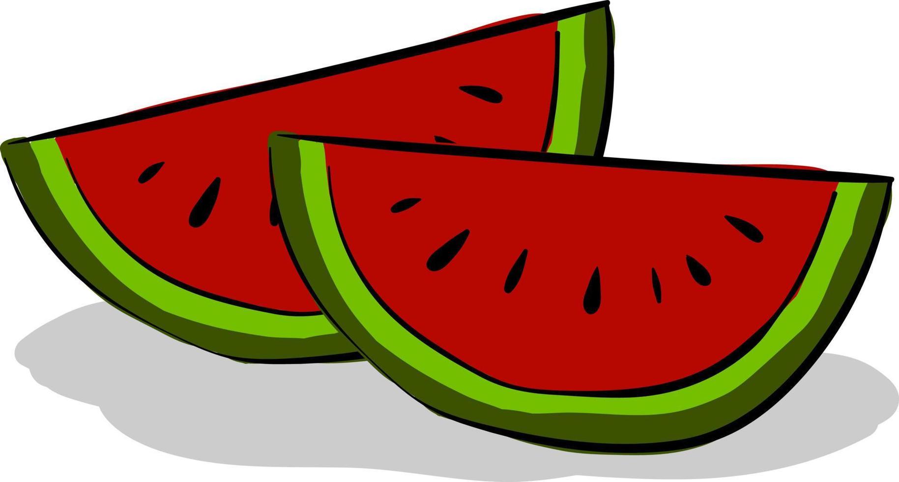 Slice watermelon, illustration, vector on white background.