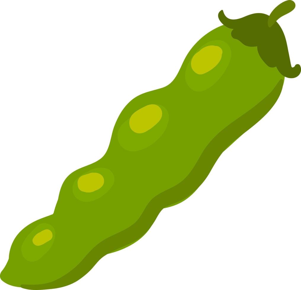 Flat beans, illustration, vector on white background.