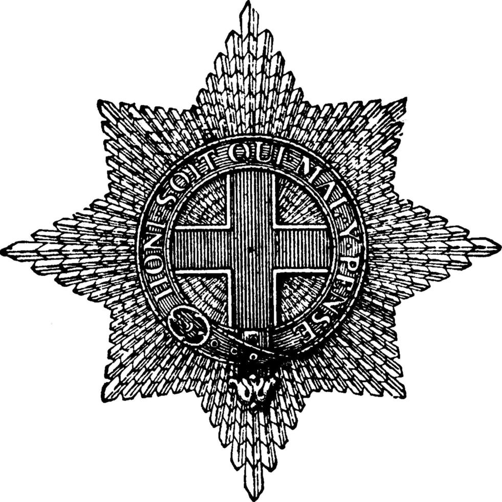 Order of the Garter Star, vintage illustration. vector