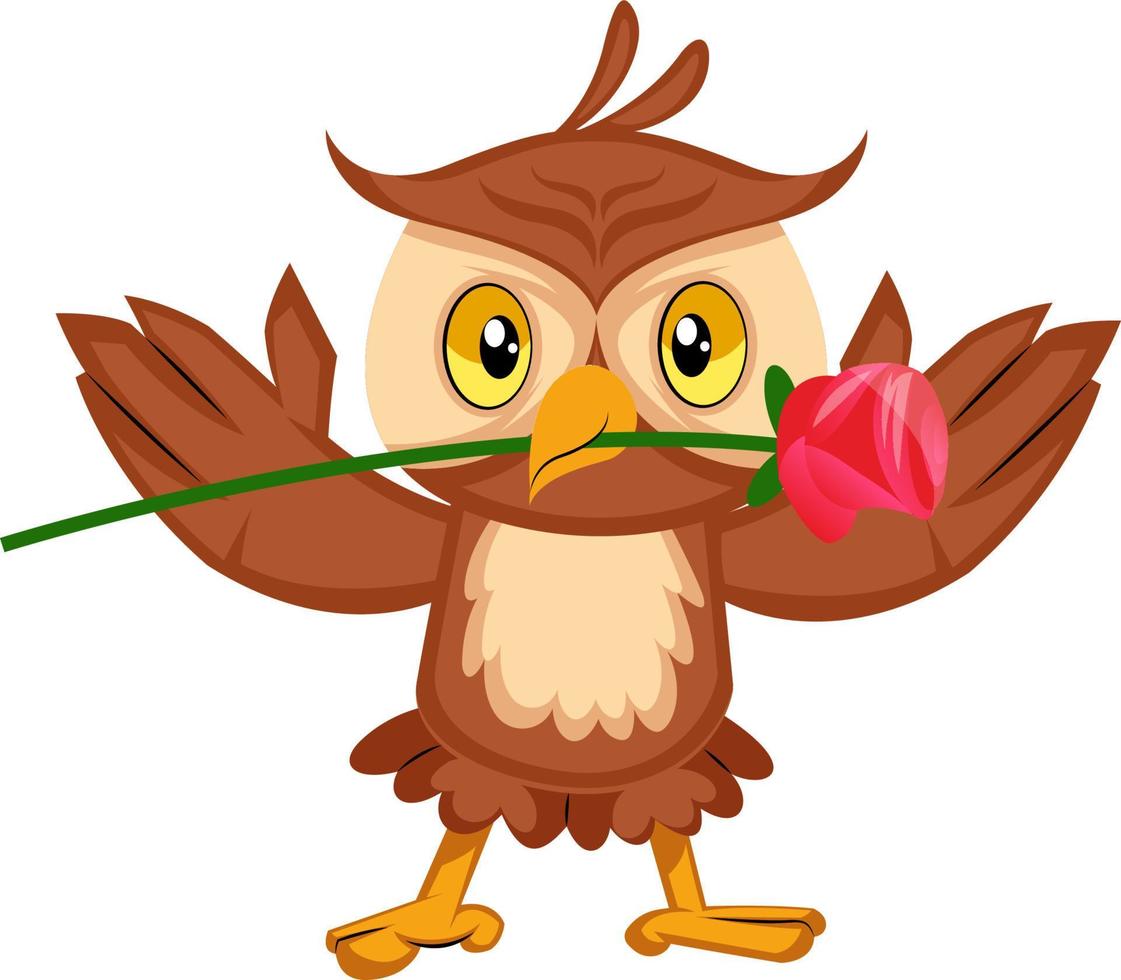 Owl with rose, illustration, vector on white background.