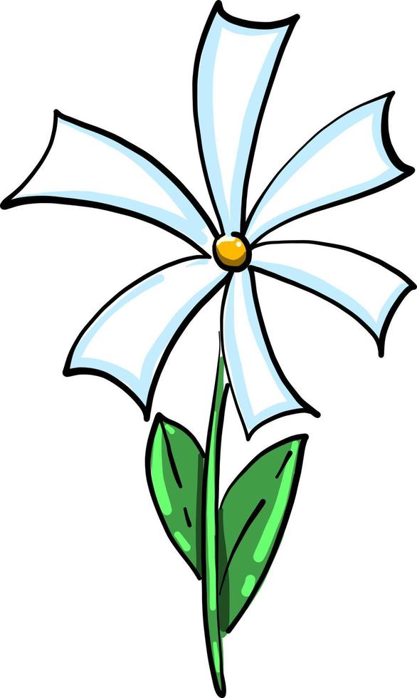 White flower, illustration, vector on white background