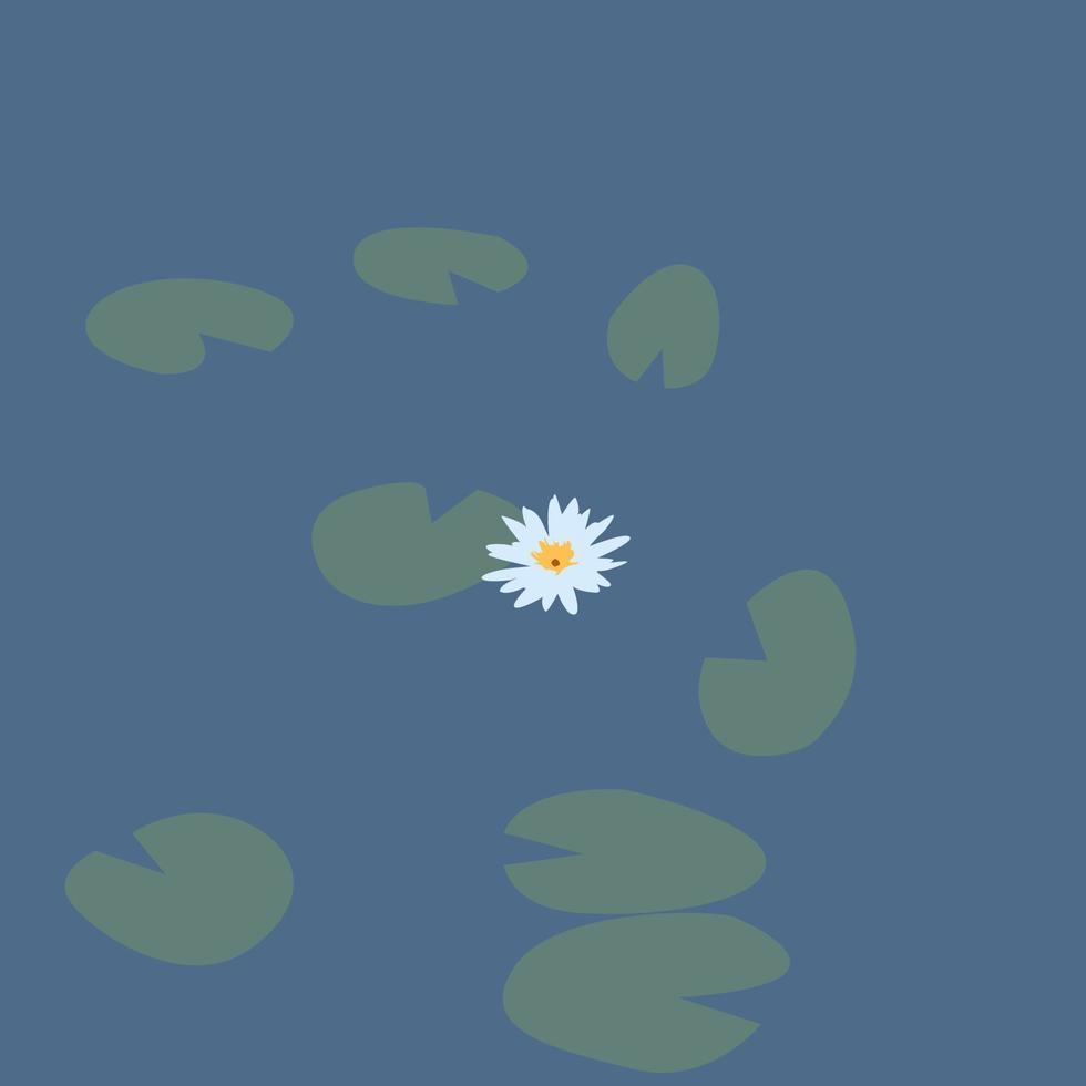 Water flower, illustration, vector on white background. 13475902 Vector