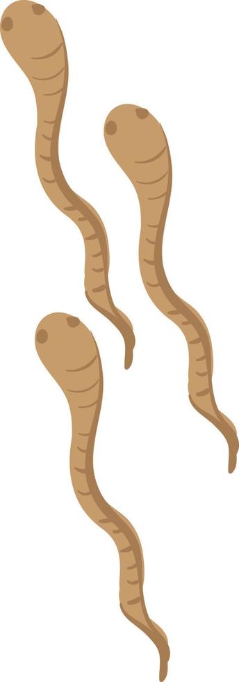 Three worms, illustration, vector on white background.