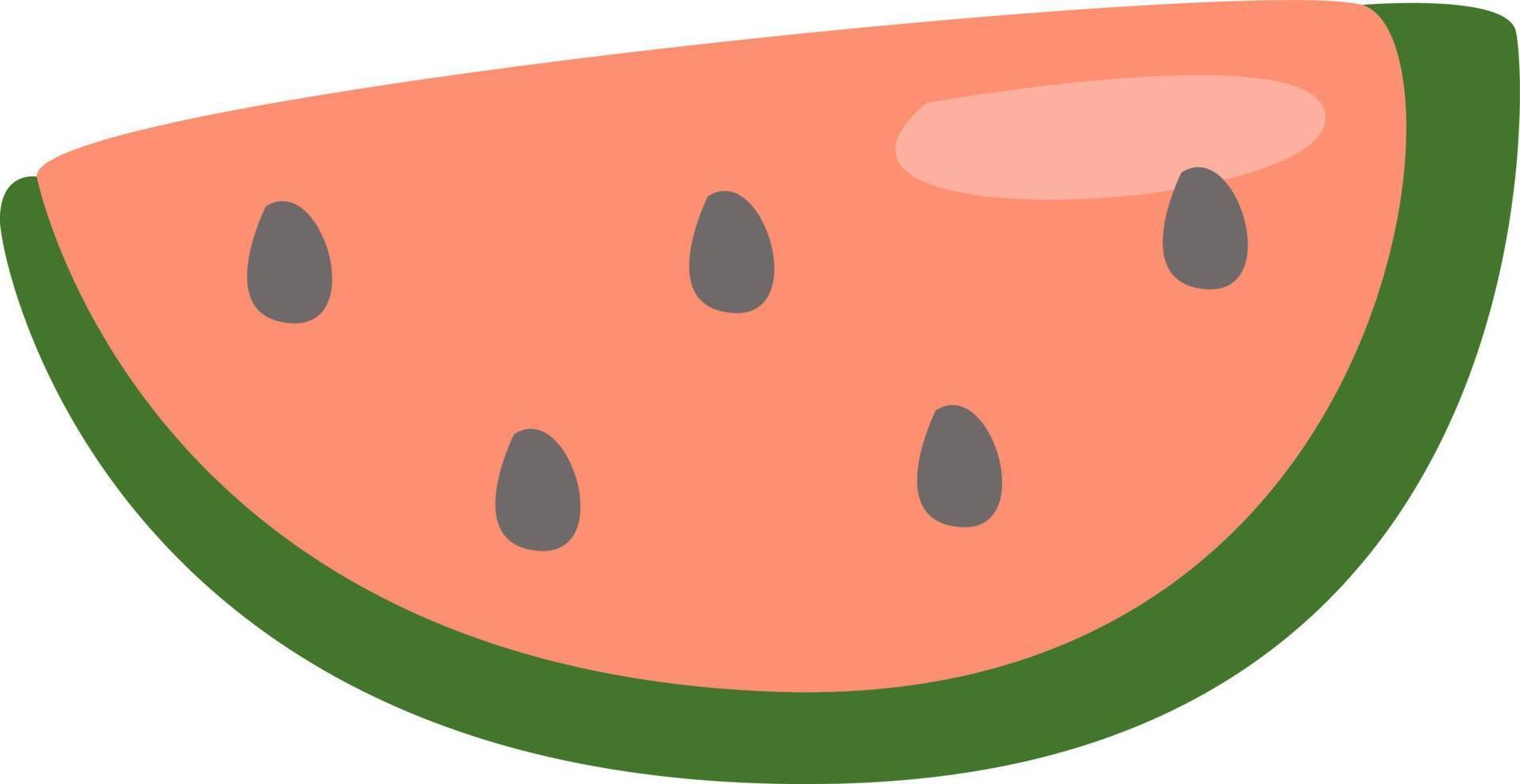 Slice of watermelon, illustration, vector, on a white background. vector