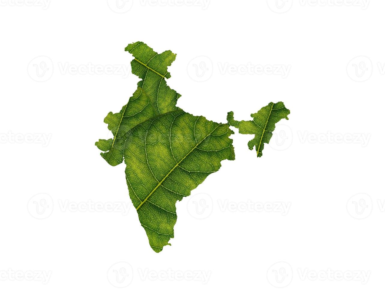 India map made of green leaves on soil background ecology concept photo
