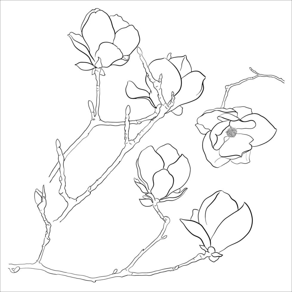 Vector Set of Magnolia Twigs.