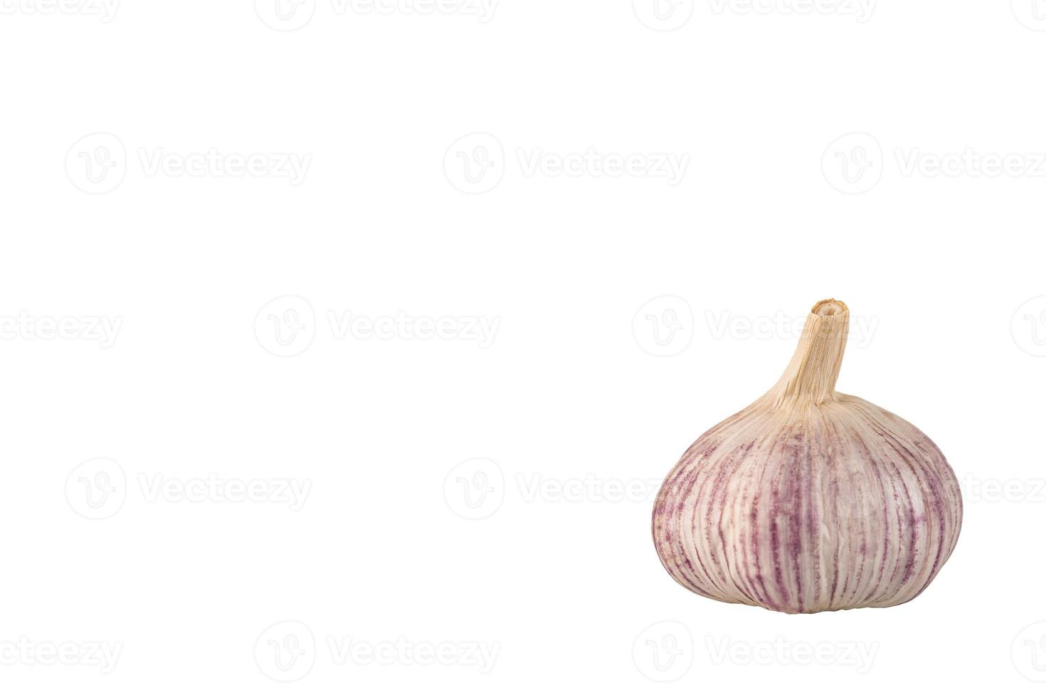 Garlic, one head of garlic on a white background. photo