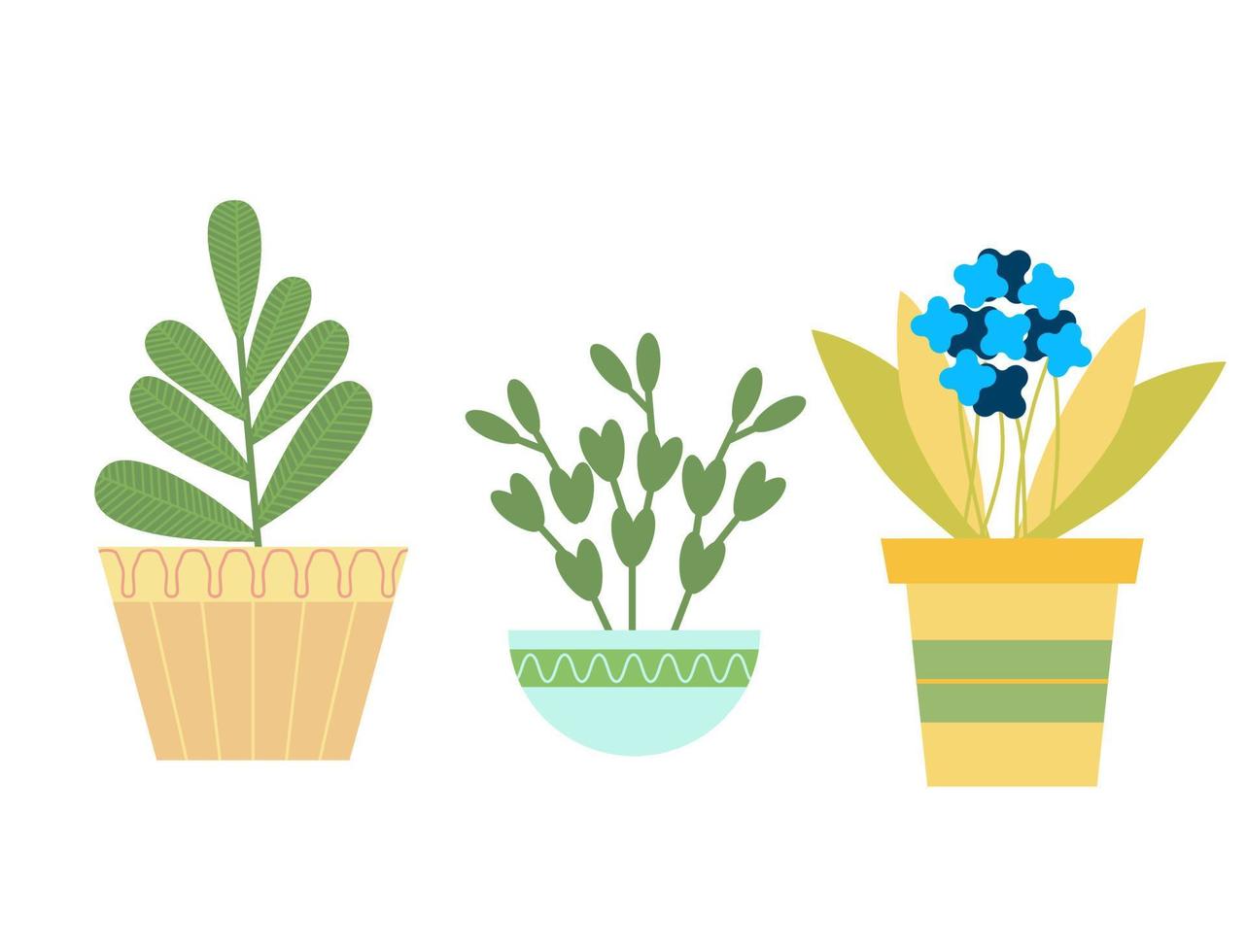 Collection of three house plants. Vector illustration in flat style on white background.