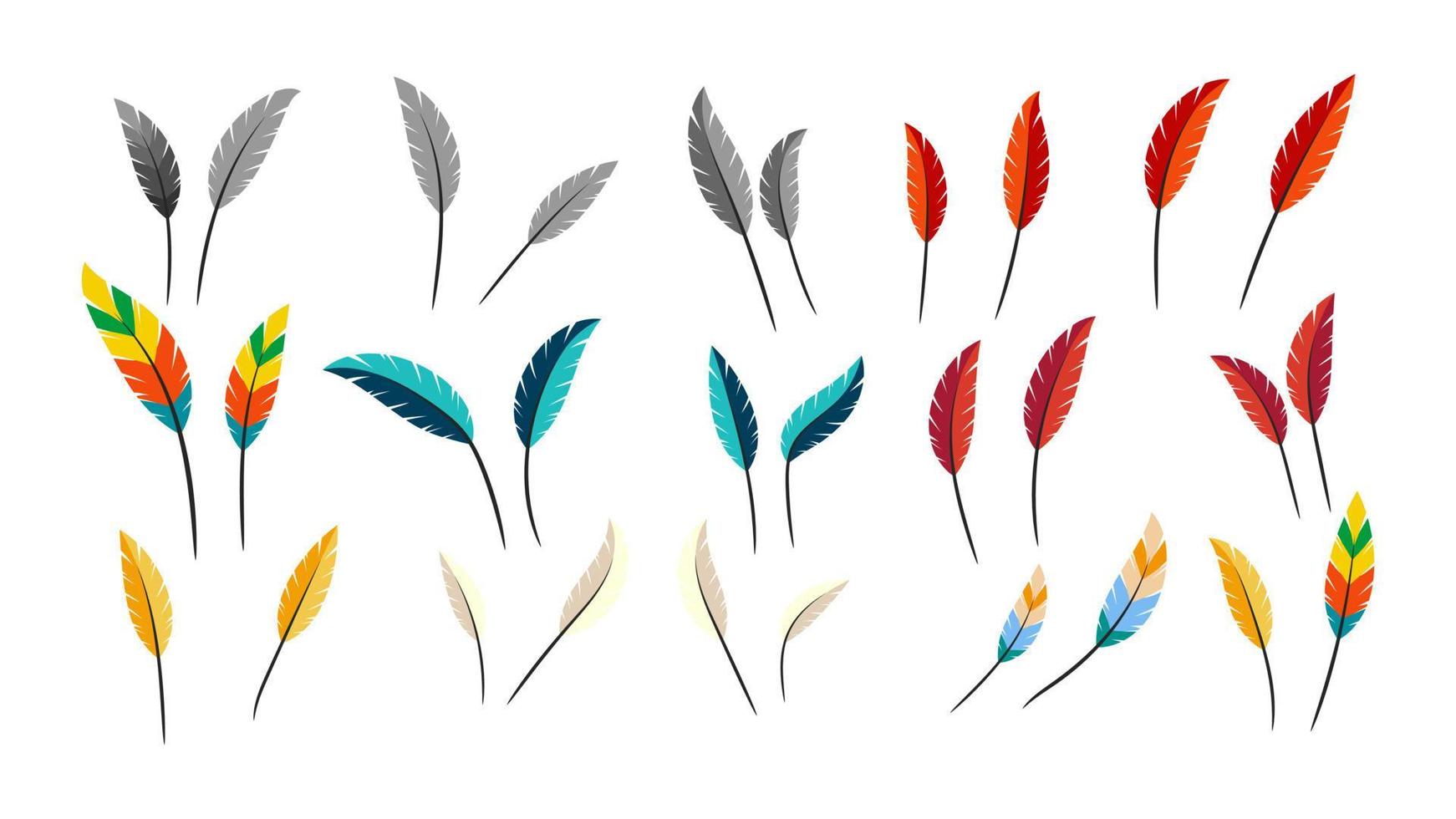 Feather set vector, illustration isolated on white background. vector
