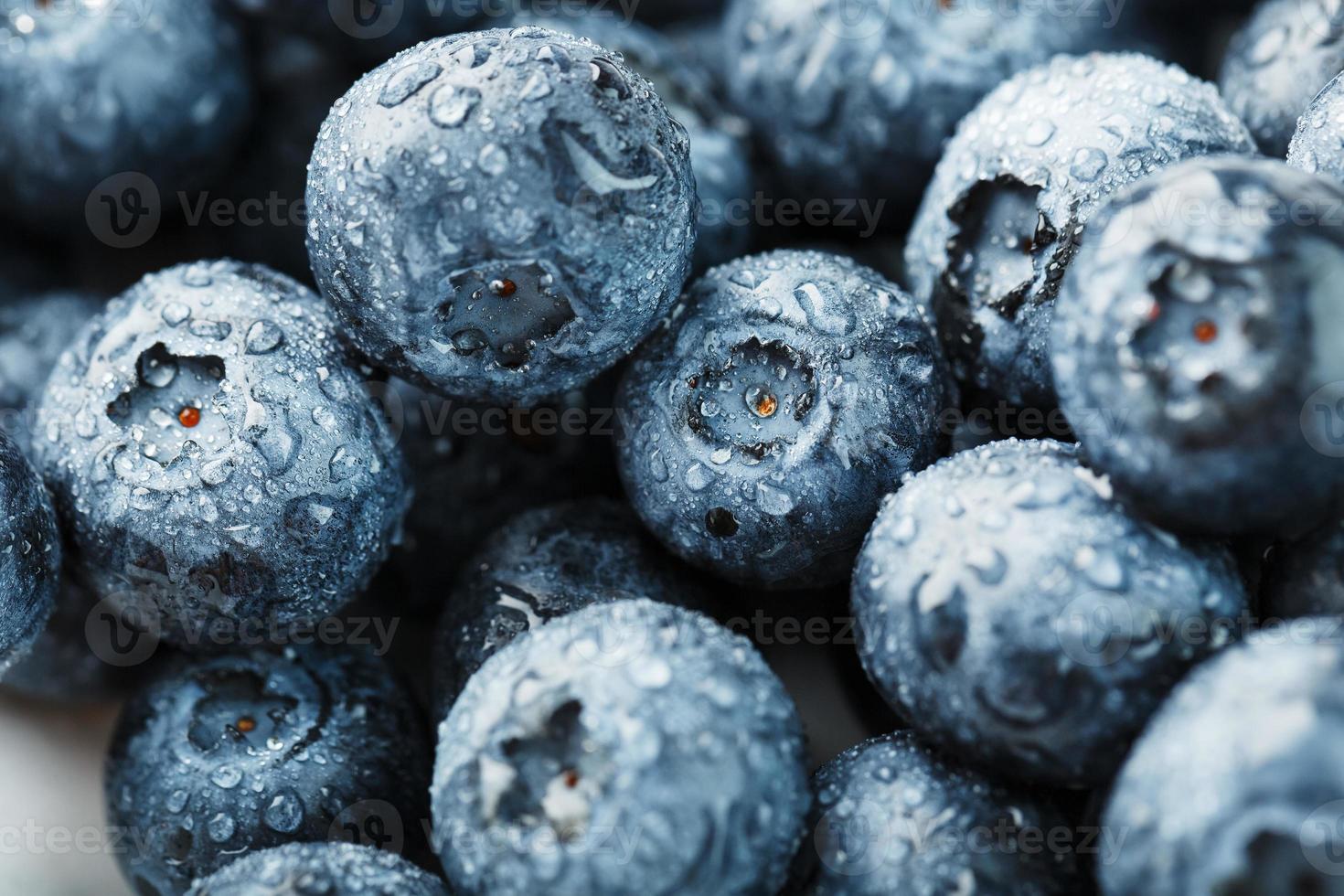 Blueberries close-up in full screen with dew drops. photo