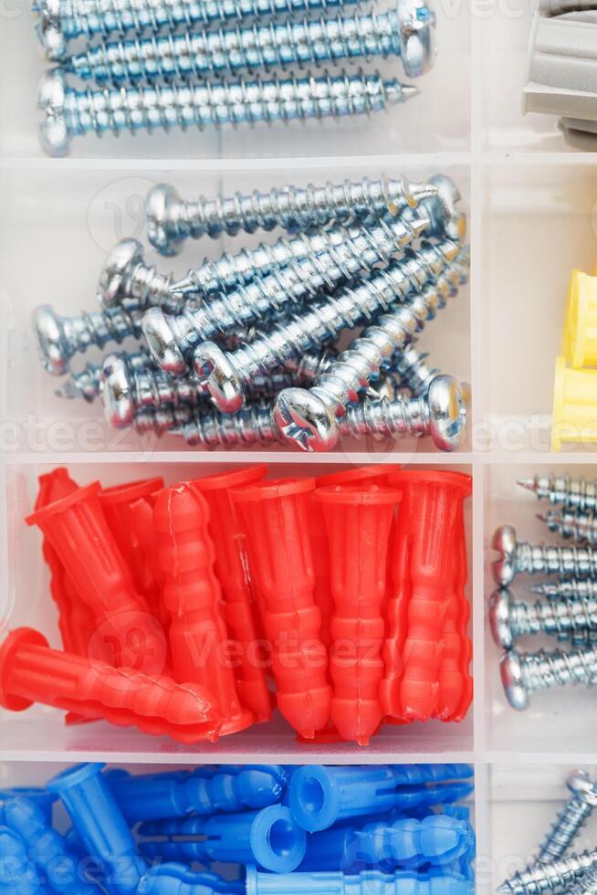 Screws and plastic dowels of various sizes, for repair, construction
