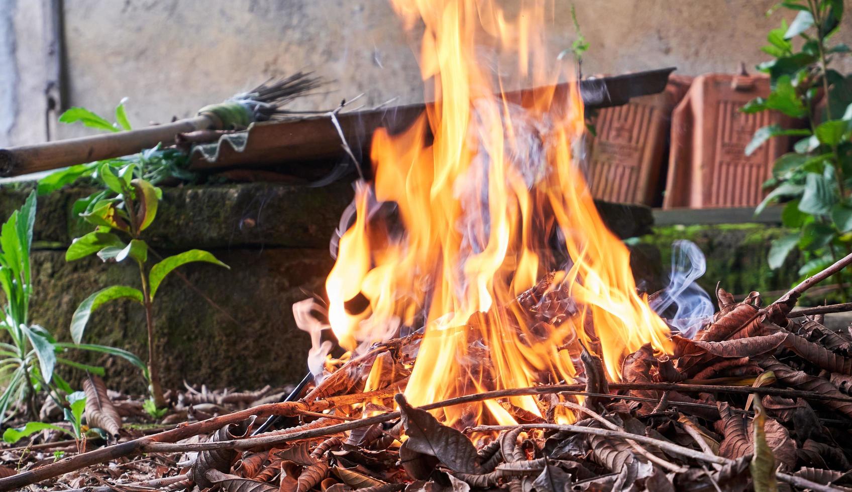 Burning dry leaves in the yard. big fire. photo