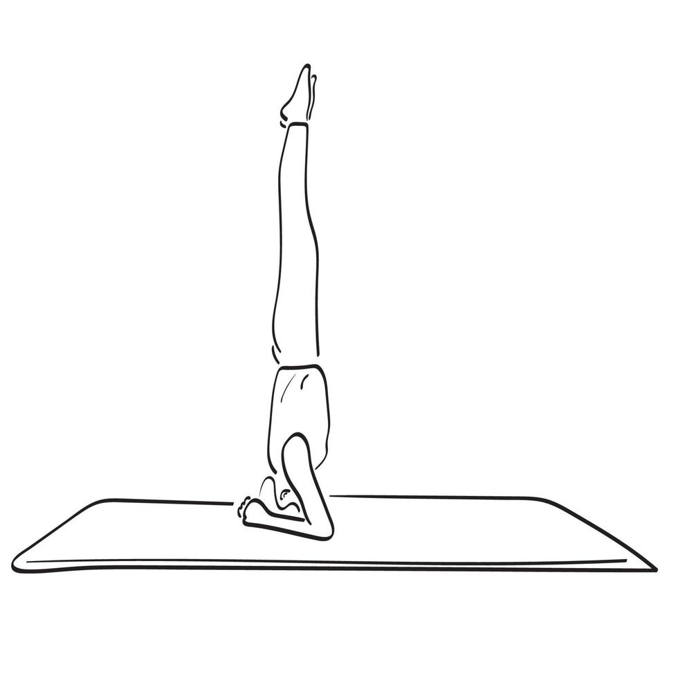 mujer de pie en el ejercicio de salamba sirsasana, o pose de cabeza en la estera de yoga ilustración vector dibujado a mano aislado en el arte de línea de fondo blanco.