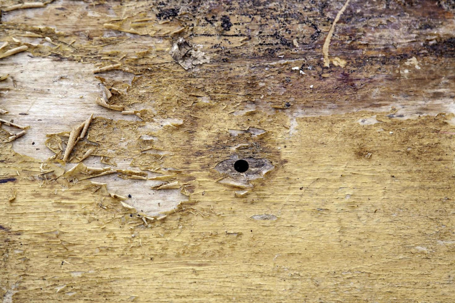 Wooden grid background photo