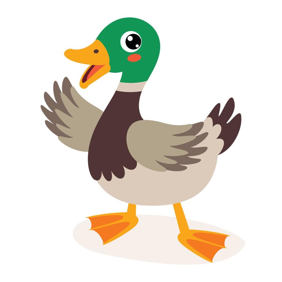 Cartoon Illustration Of A Duck vector