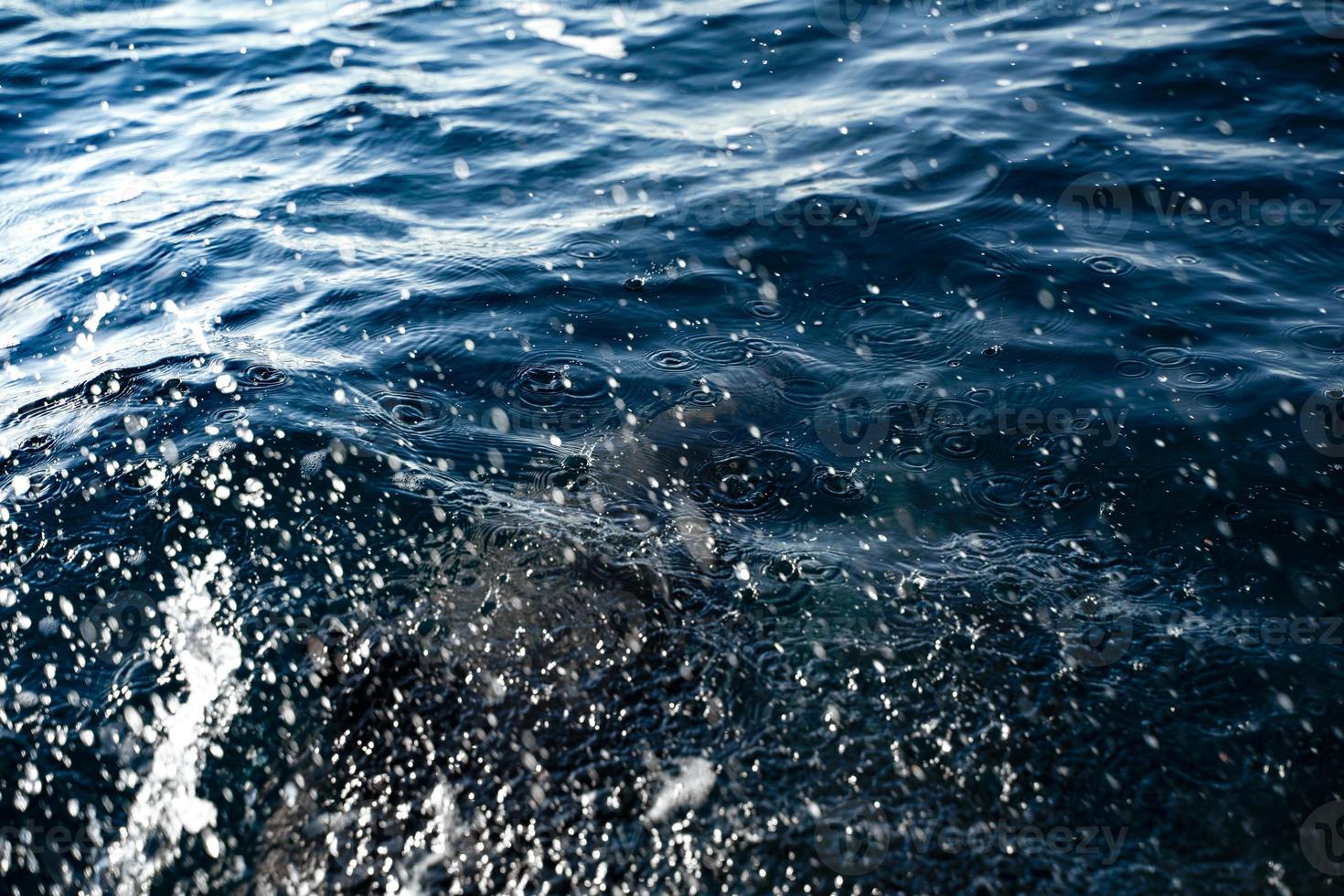 gotas y salpicaduras en el océano con delfines bajo el agua foto