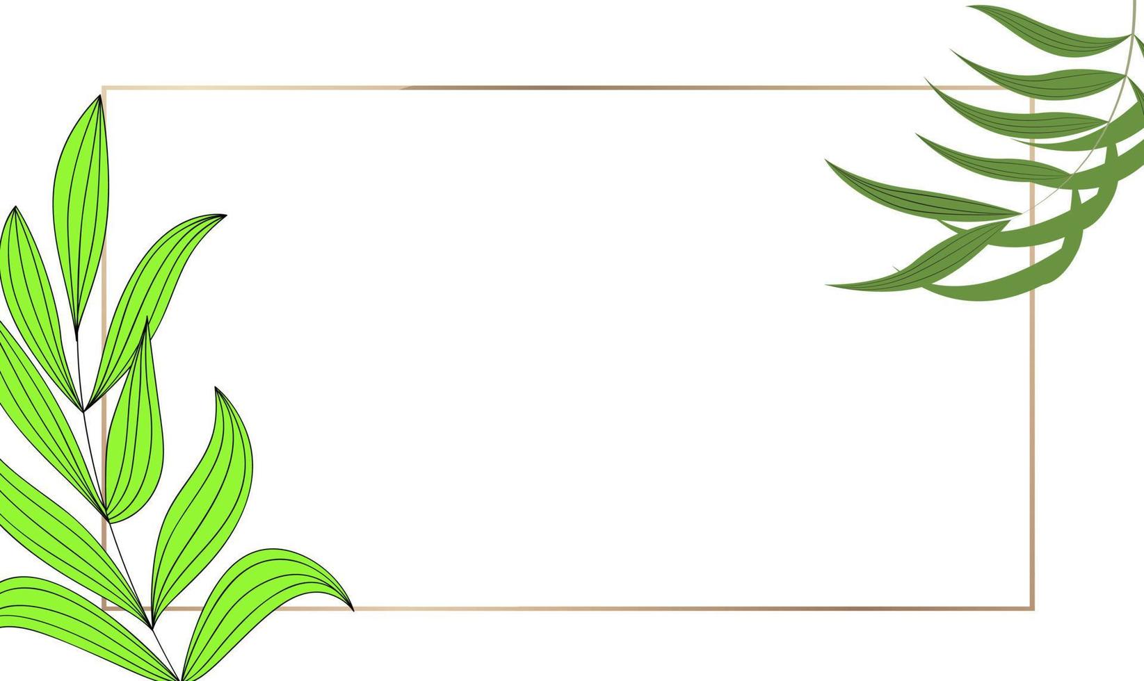Background Leaf Illustration Natural Green With Border. Eps10 Vector