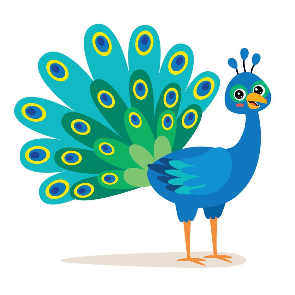 Cartoon Illustration Of A Peacock vector